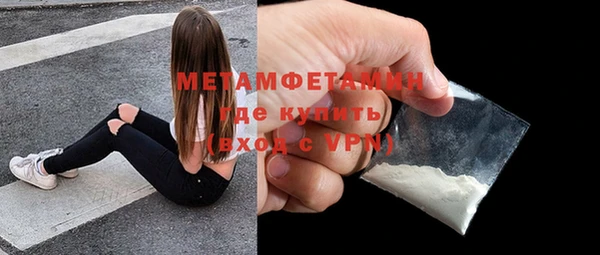 индика Мегион