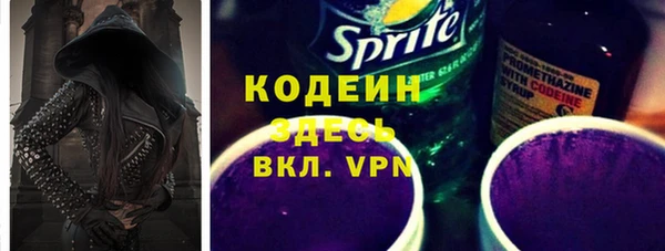 индика Мегион