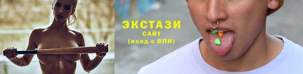 индика Мегион