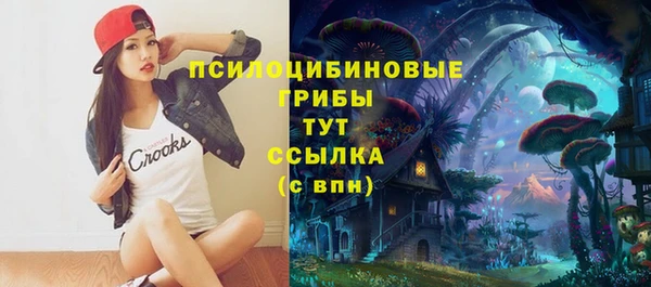 сатива Аркадак