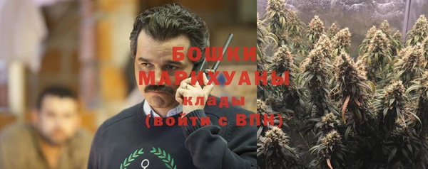 сатива Аркадак