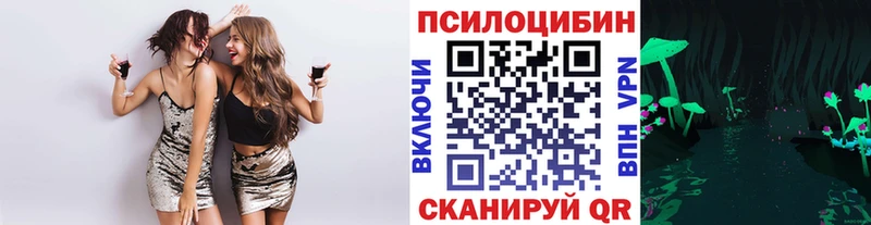 мега ссылки  Алдан  Псилоцибиновые грибы Cubensis 